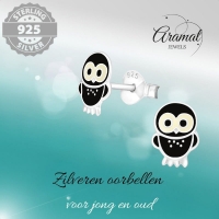 Trendy Zilveren Uiltjes Oorbellen - Zwart Emaille -