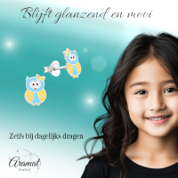 Zilveren Uiltjes Oorbellen - Blauw/Geel Emaille - Unisex