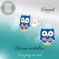 Schattige Zilveren Uiltjes Oorbellen - Blauw Emaille - Vrolijk -