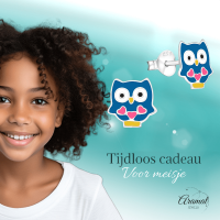 Schattige Zilveren Uiltjes Oorbellen - Blauw Emaille - Vrolijk -