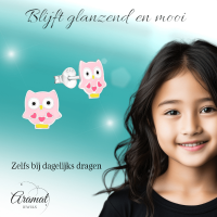 Zilveren Uiltjes Oorbellen - Roze Emaille - Cadeautje - Unisex