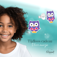 Hippe Zilveren Uiltjes Oorbellen - Paars Emaille - Cadeautip - Unisex