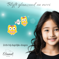 Zilveren Uiltjes Oorbellen - Vrolijk Cadeautje voor Meisjes -