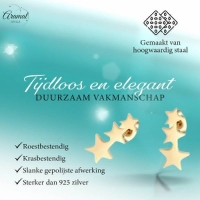 Stalen Goudkleurige Sterren Oorbellen - Perfect Cadeautje -