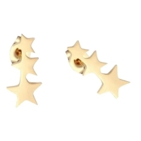 Goudkleurige Stainless Steel Sterren Oorbellen - Tijdloos & Stralend -