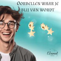 Goudkleurige Stainless Steel Sterren Oorbellen - Tijdloos & Stralend -