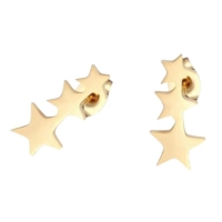 Goudkleurige Stainless Steel Sterren Oorbellen - Tijdloos & Stralend -