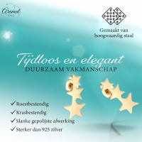 Goudkleurige Stainless Steel Sterren Oorbellen - Tijdloos & Stralend -