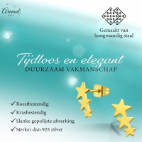 Stalen Goudkleurige Sterren Oorbellen - Hip & Tijdloos -