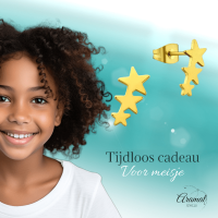 Stalen Goudkleurige Sterren Oorbellen - Hip & Tijdloos -