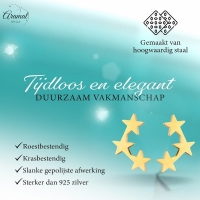 Goudkleurige RVS Sterren Oorbellen - Tijdloos & Stralend -