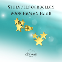 RVS Goudkleurige Sterren Oorbellen - Uniseks & Feestelijk -