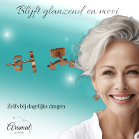Stainless Steel Ros&Atilde;&copy;kleurige Sterren Oorbellen - Tijdloos & Elegant -