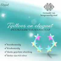 Stainless Steel Multicolor Sterren Oorbellen - Vrolijk & Uniek -