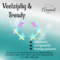 Stainless Steel Multicolor Sterren Oorbellen - Vrolijk & Uniek -