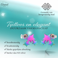 RVS Multicolor Sterren Oorbellen - Hip & Kleurrijk -