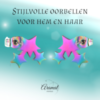 RVS Multicolor Sterren Oorbellen - Hip & Kleurrijk -