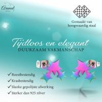RVS Multicolor Sterren Oorbellen - Hip & Kleurrijk -