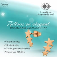 Stalen Ros&Atilde;&copy;kleurige Sterren Oorbellen - Tijdloos & Elegant -
