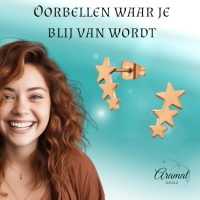 Stalen Ros&Atilde;&copy;kleurige Sterren Oorbellen - Tijdloos & Elegant -