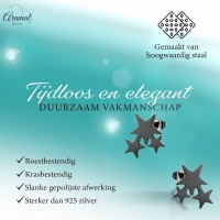 Stalen Sterren Oorbellen - Zwart of Zilverkleurig RVS - Zwart -