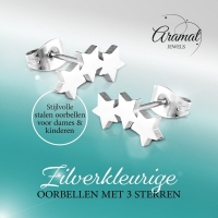 Stalen Zilverkleurige Sterren Oorbellen - Tijdloos Cadeau - Zilverkleur -
