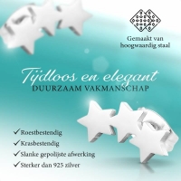 Stalen Zilverkleurige Sterren Oorbellen - Tijdloos Cadeau - Zilverkleur -