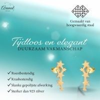 Stalen Goudkleurige Sterren Oorbellen - Tijdloos Cadeau - Goudkleur -