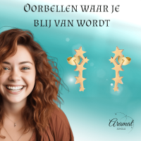 Stalen Goudkleurige Sterren Oorbellen - Tijdloos Cadeau - Goudkleur -