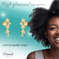 Stalen Goudkleurige Sterren Oorbellen - Tijdloos Cadeau - Goudkleur -