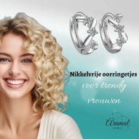 Zilveren Oorringetjes met Zirkonia Steentjes en Zigzag Patroon -