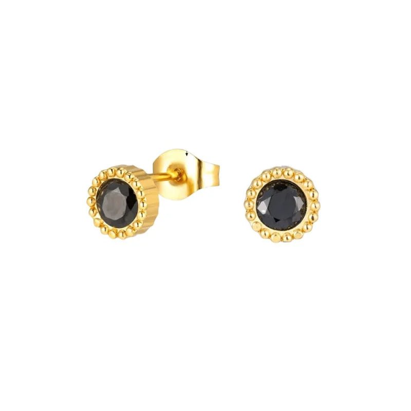 Stalen ronde zirkonia oorbellen met bolletjes rand-6mm -