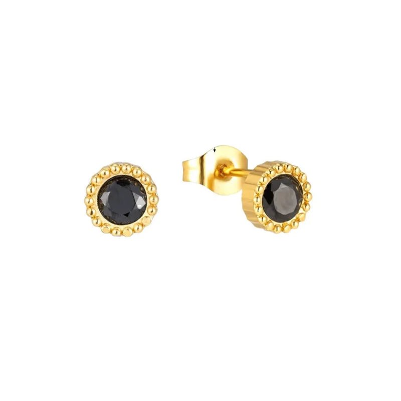 Stalen ronde zirkonia oorbellen met bolletjes rand-6mm -