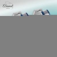 Stalen Bicolor Oorringen &acirc;&euro;&ldquo; Blauw en Zilverkleurig Staal -