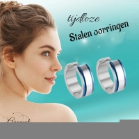 Stalen Bicolor Oorringen &acirc;&euro;&ldquo; Blauw en Zilverkleurig Staal -