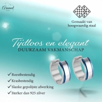 Stalen Bicolor Oorringen &acirc;&euro;&ldquo; Blauw en Zilverkleurig Staal -