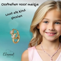 Stalen Oorringen met vierkante Zirkonia - Goudkleur -