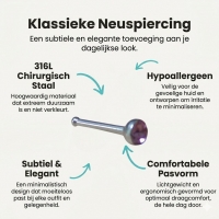 Stalen Neuspiercing met 2mm Kristalsteentje - Transparant - Dames