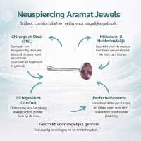 Neuspiercing met Kristal Steentje 2mm - Violet - Dames