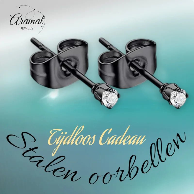 Stalen Zwarte Oorbellen met Transparante Zirkonia - 2mm -