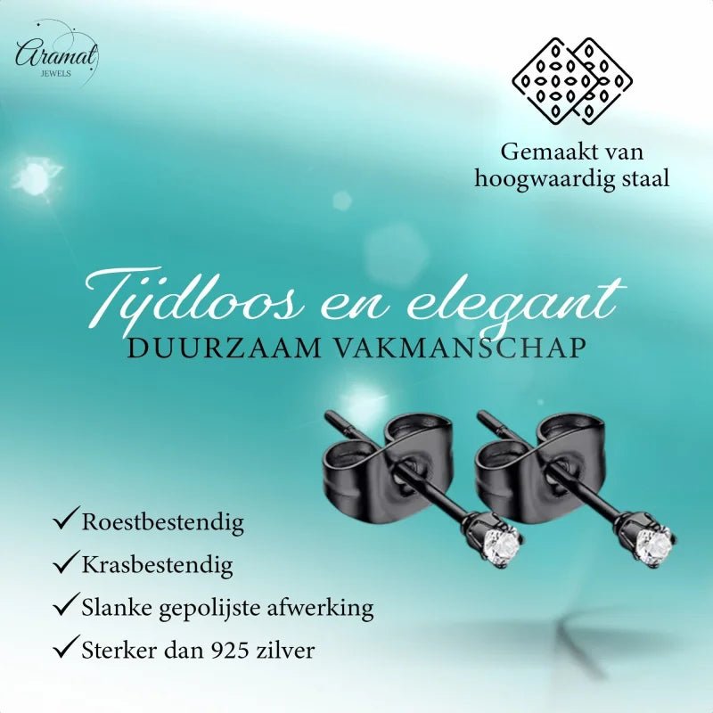 Stalen Zwarte Oorbellen met Transparante Zirkonia - 2mm -