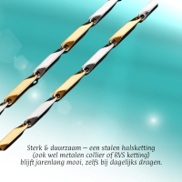 Bicolor Bamboo Ketting van Goud- en Zilverkleurig RVS &acirc;&euro;&ldquo;3mm Breed-60cm Lang - 60cm