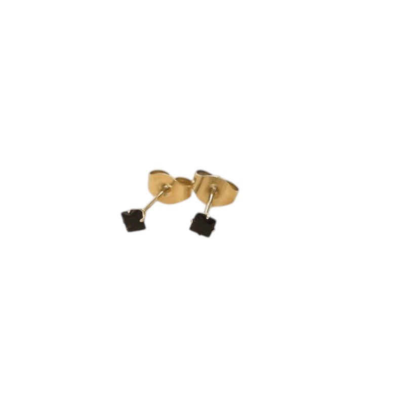 Rvs Vierkante Oorbellen Met Zwarte Zirkonia - 3mm -