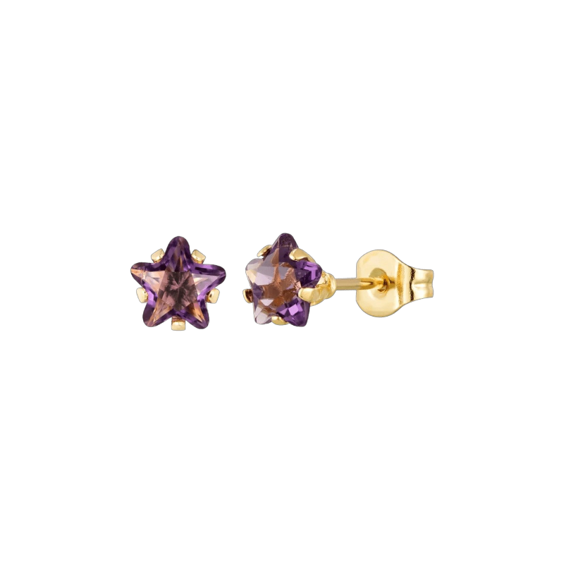 Goudkleurige Ster Oorbellen Met Paarse Zirkonia In Roestvrij Staal - 4mm -