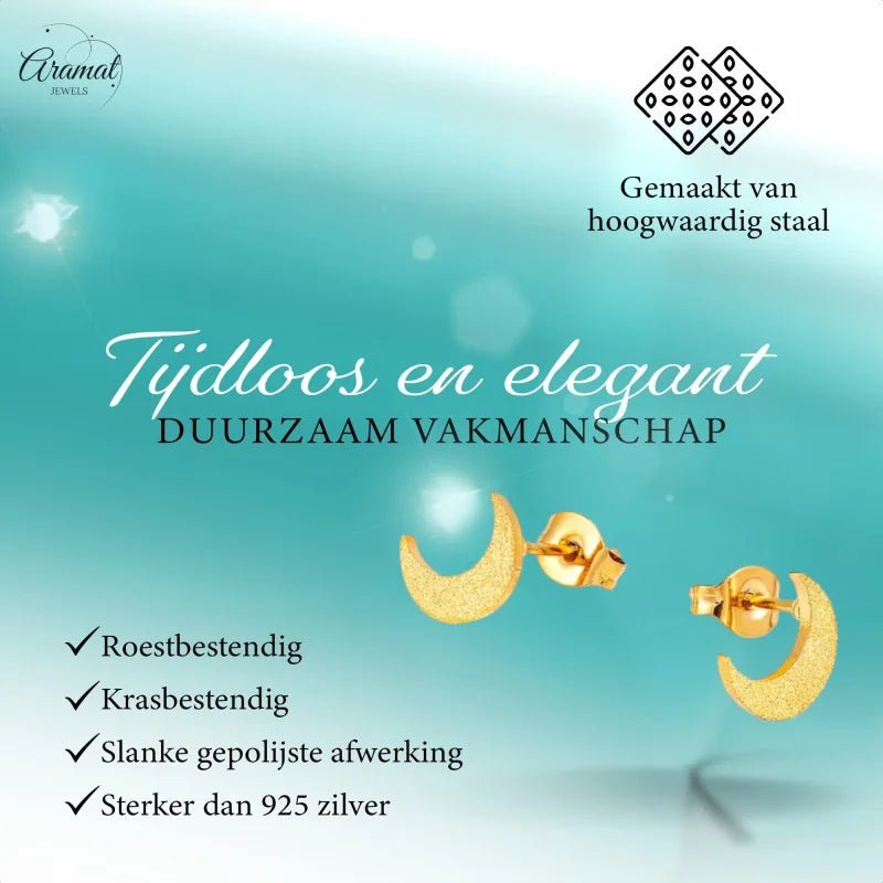 RVS Maan Oorbellen Sandblasted - Zilverkleur -