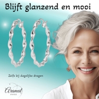 Stalen Gedraaide Oorringen -
