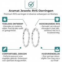 Stalen Gedraaide Oorringen -