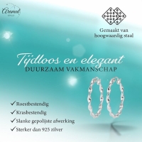 Stalen Gedraaide Oorringen -