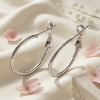 Oorringen &acirc;&euro;&ldquo; Klassieke Basic Hoepel Creolen RVS Zilverkleur (Diverse Maten) - 20mm
