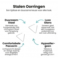 Stalen Driehoek Hoepel Oorstekers - Dames -